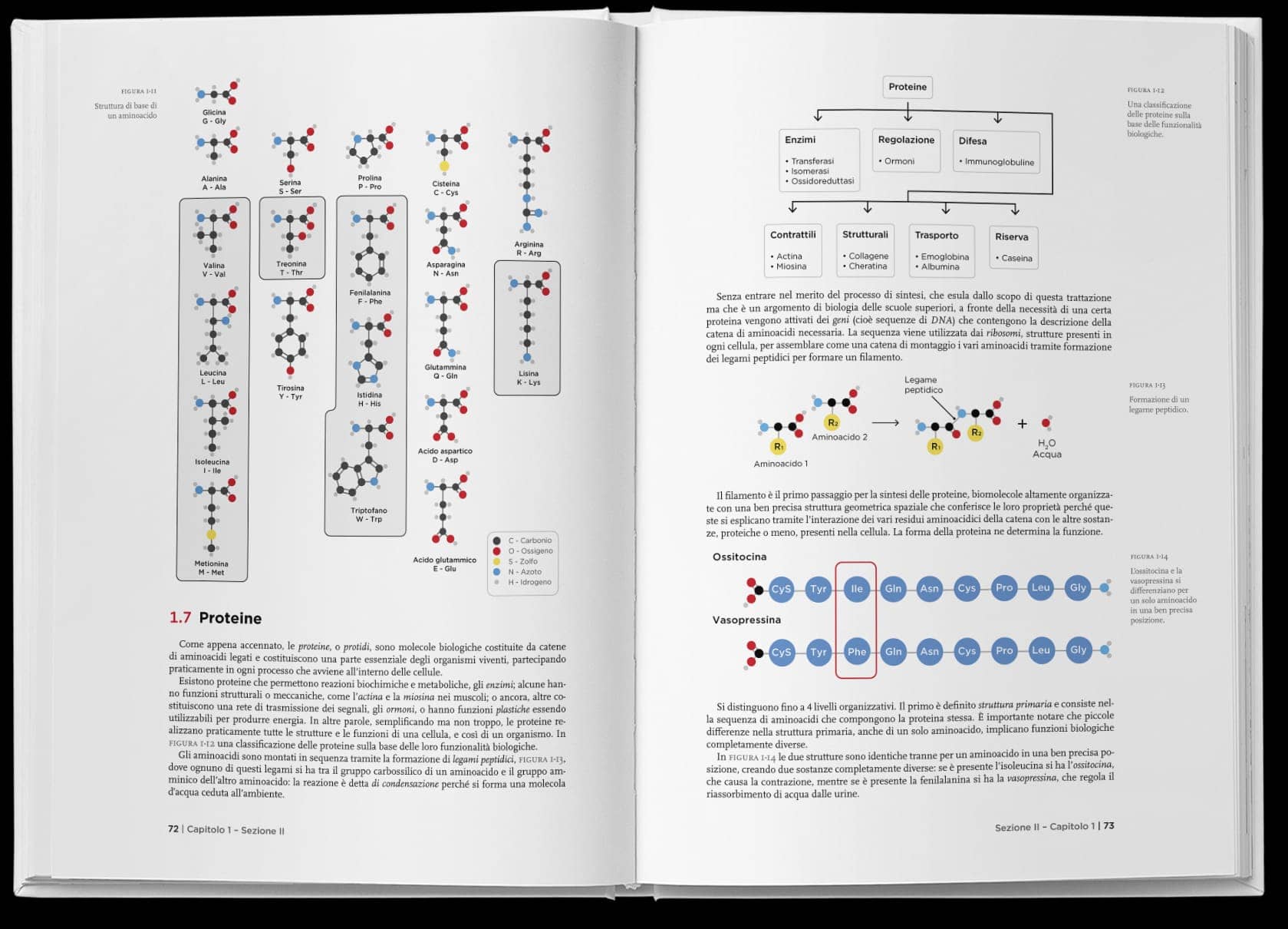 VT3 - Manuale - Pagine 5