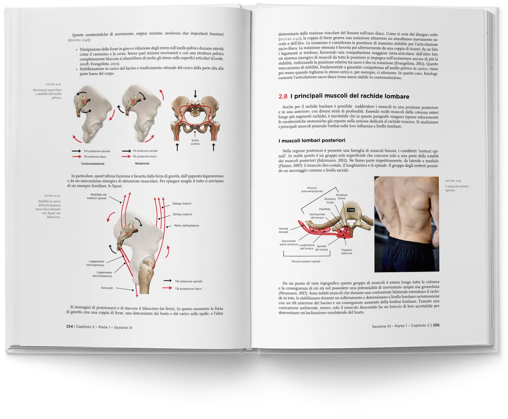 Manuale inVictus Trainer 2